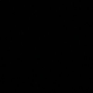 Meet your Posher, Lilly